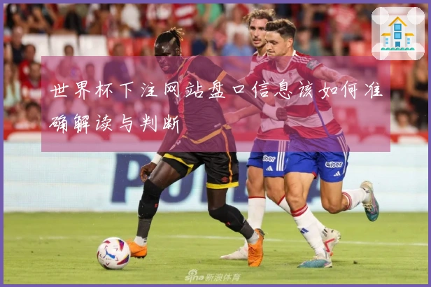 世界杯下注网站盘口信息该如何准确解读与判断