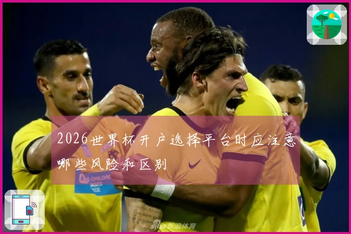 2026世界杯开户选择平台时应注意哪些风险和区别