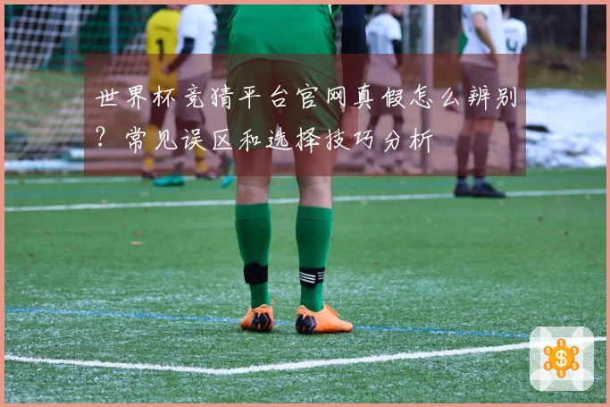 世界杯竞猜平台官网真假怎么辨别？常见误区和选择技巧分析